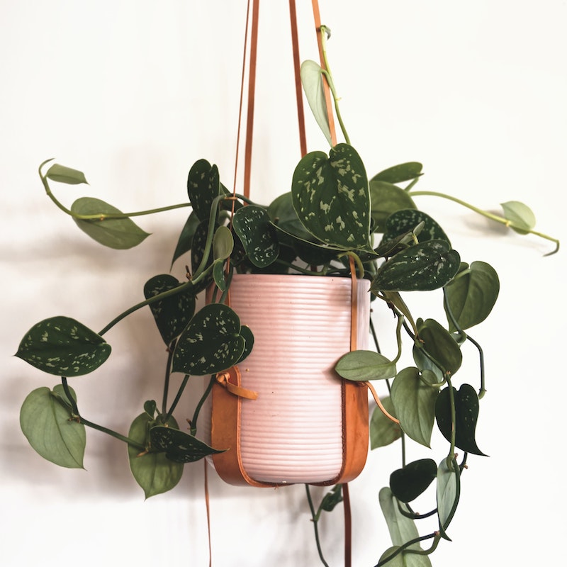Hanging ceramic pot